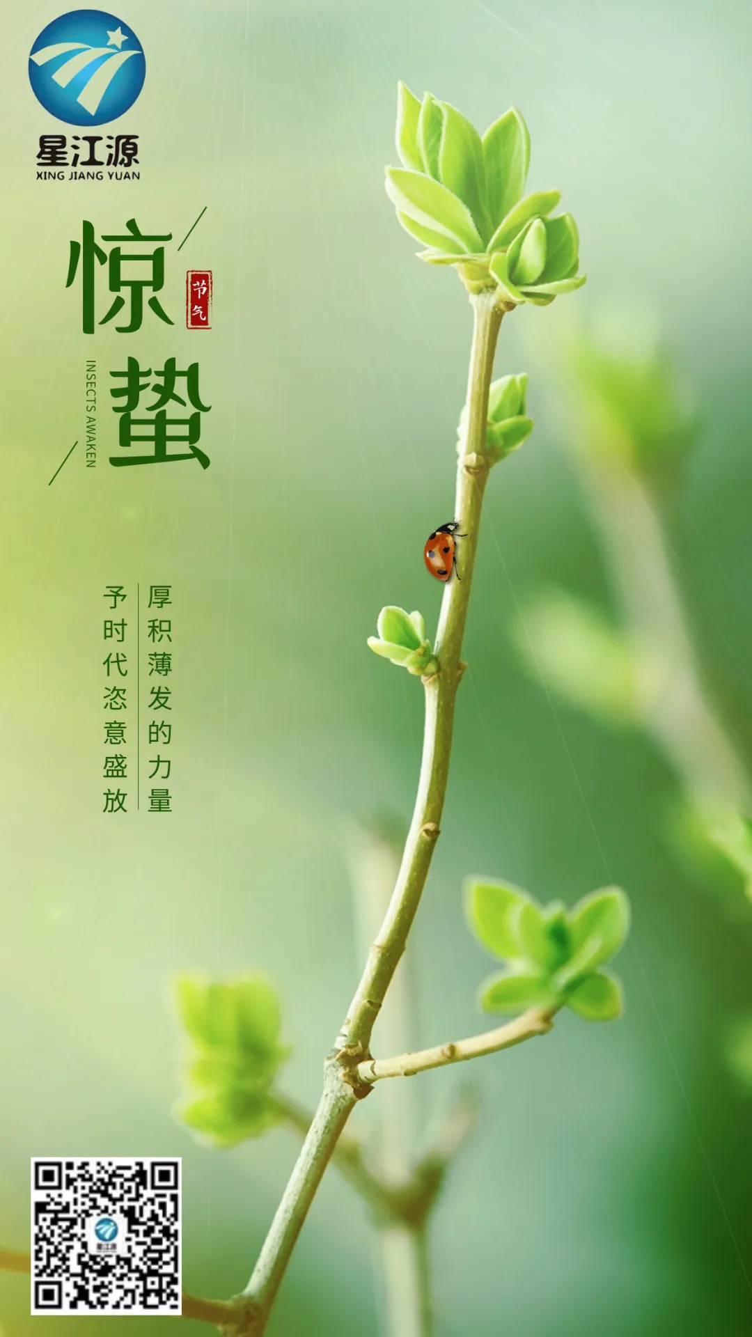 ʮĹ(ji)֮@U